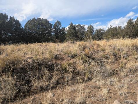 1463 Highwood Crestone CO 81131