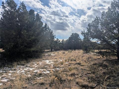 1463 Highwood Crestone CO 81131