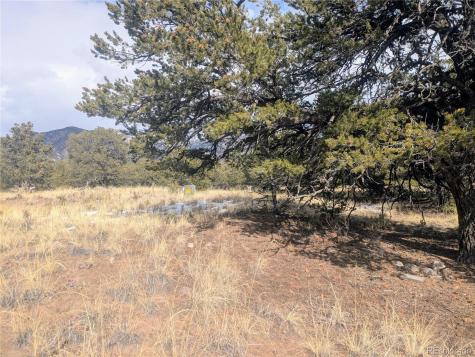 1463 Highwood Crestone CO 81131