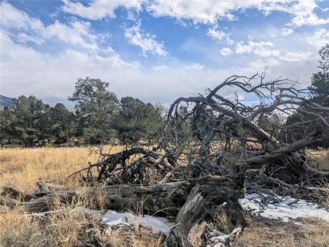 1463 Highwood Crestone CO 81131