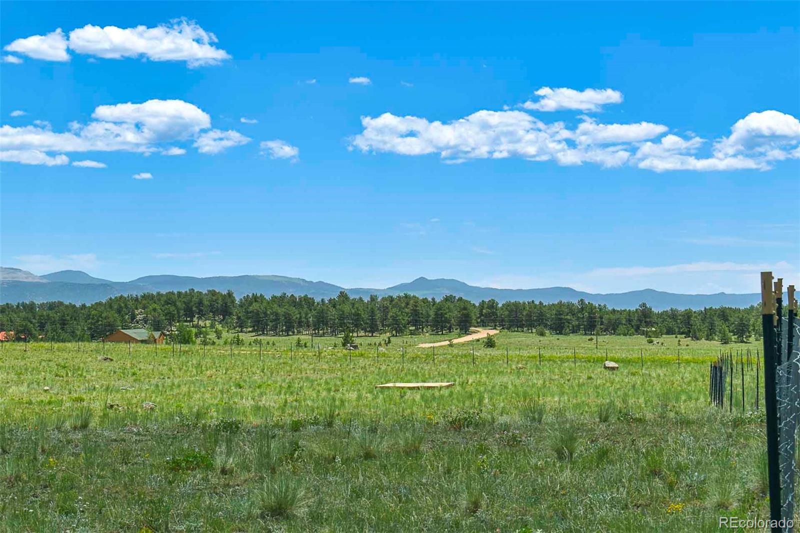 56 View Lane Guffey CO 80820