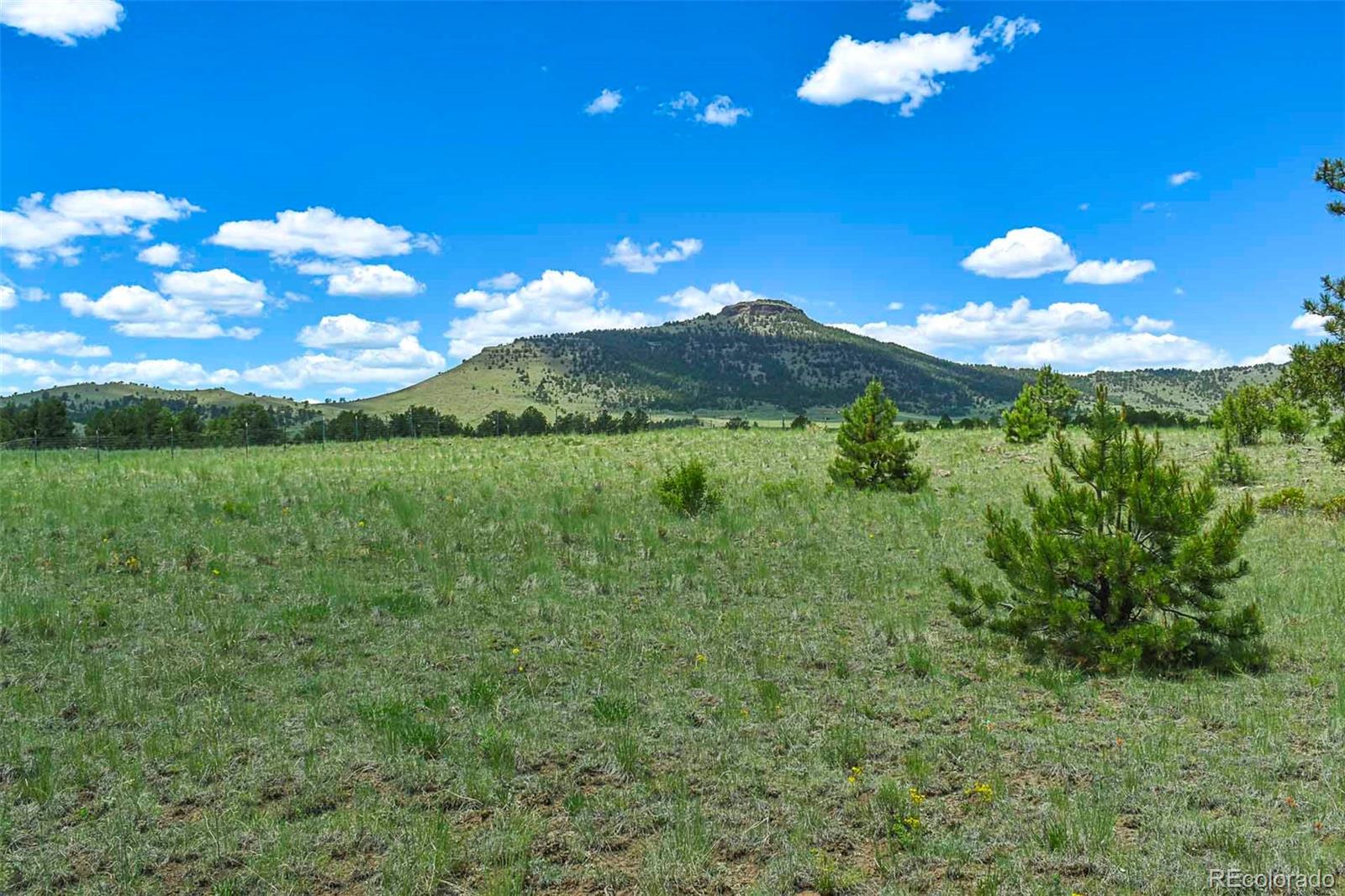 56 View Lane Guffey CO 80820