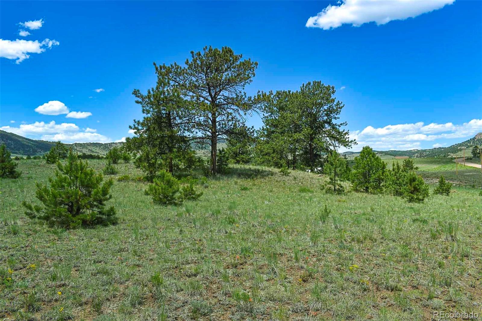 56 View Lane Guffey CO 80820