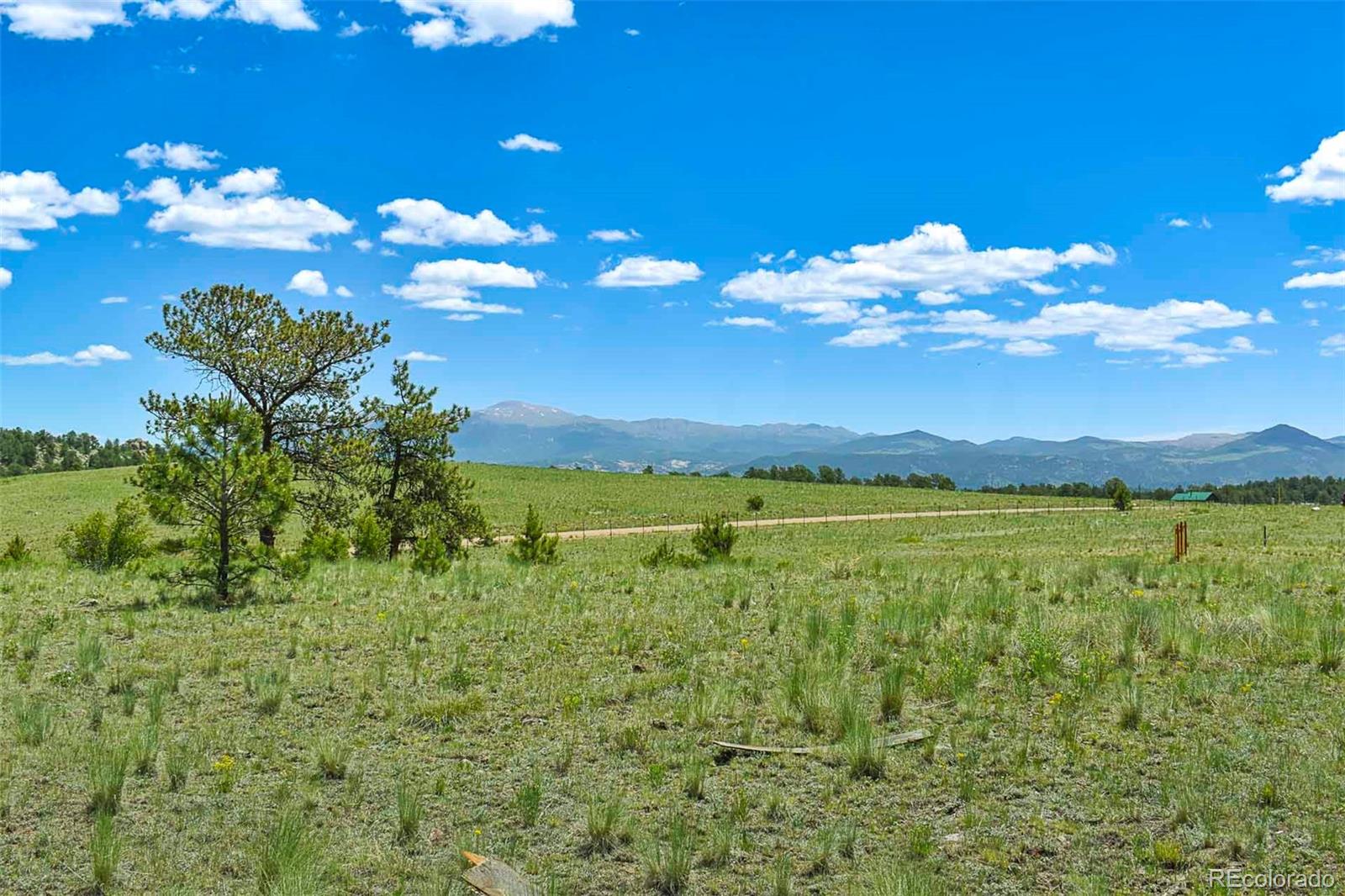 56 View Lane Guffey CO 80820