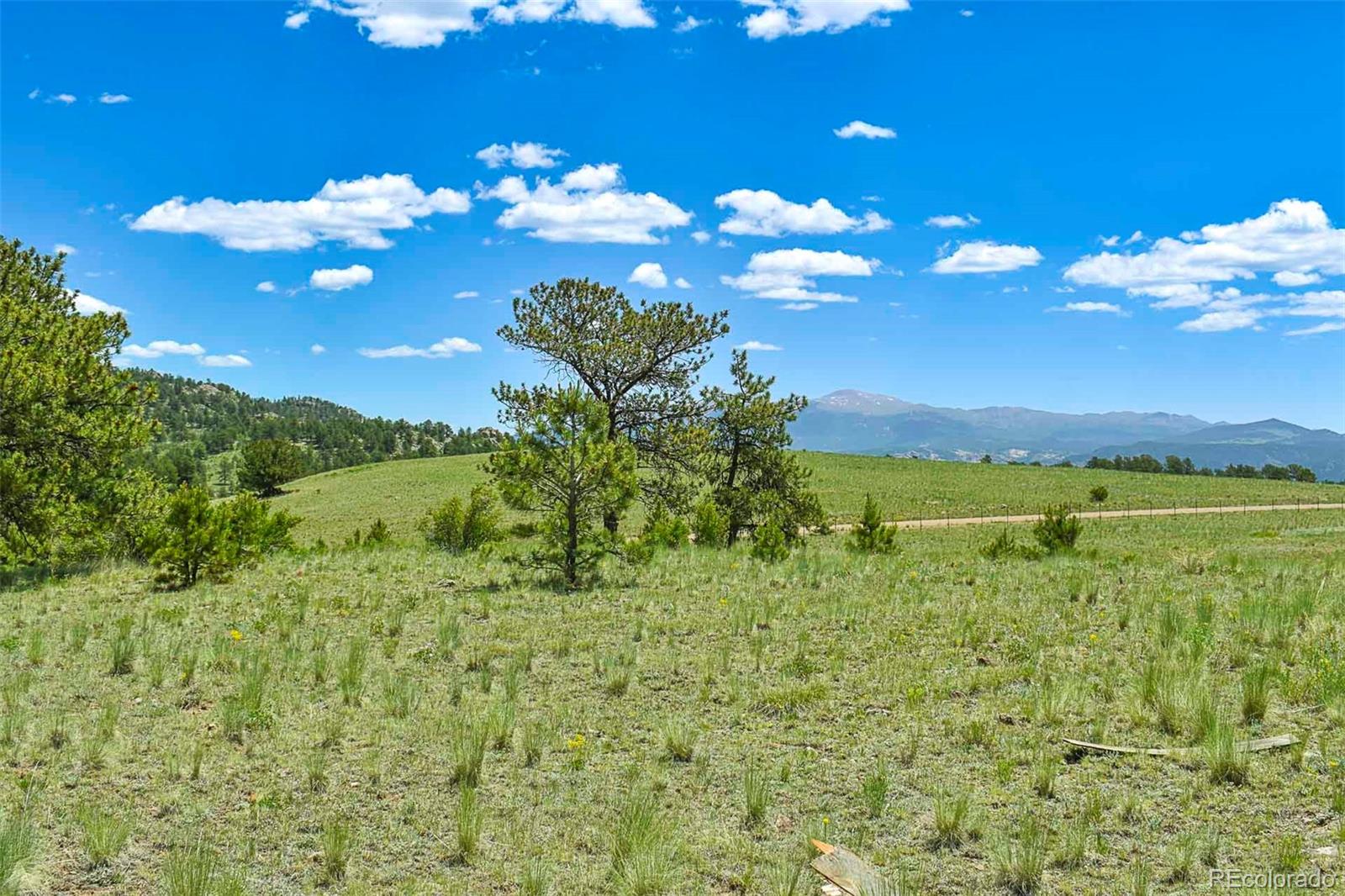 56 View Lane Guffey CO 80820