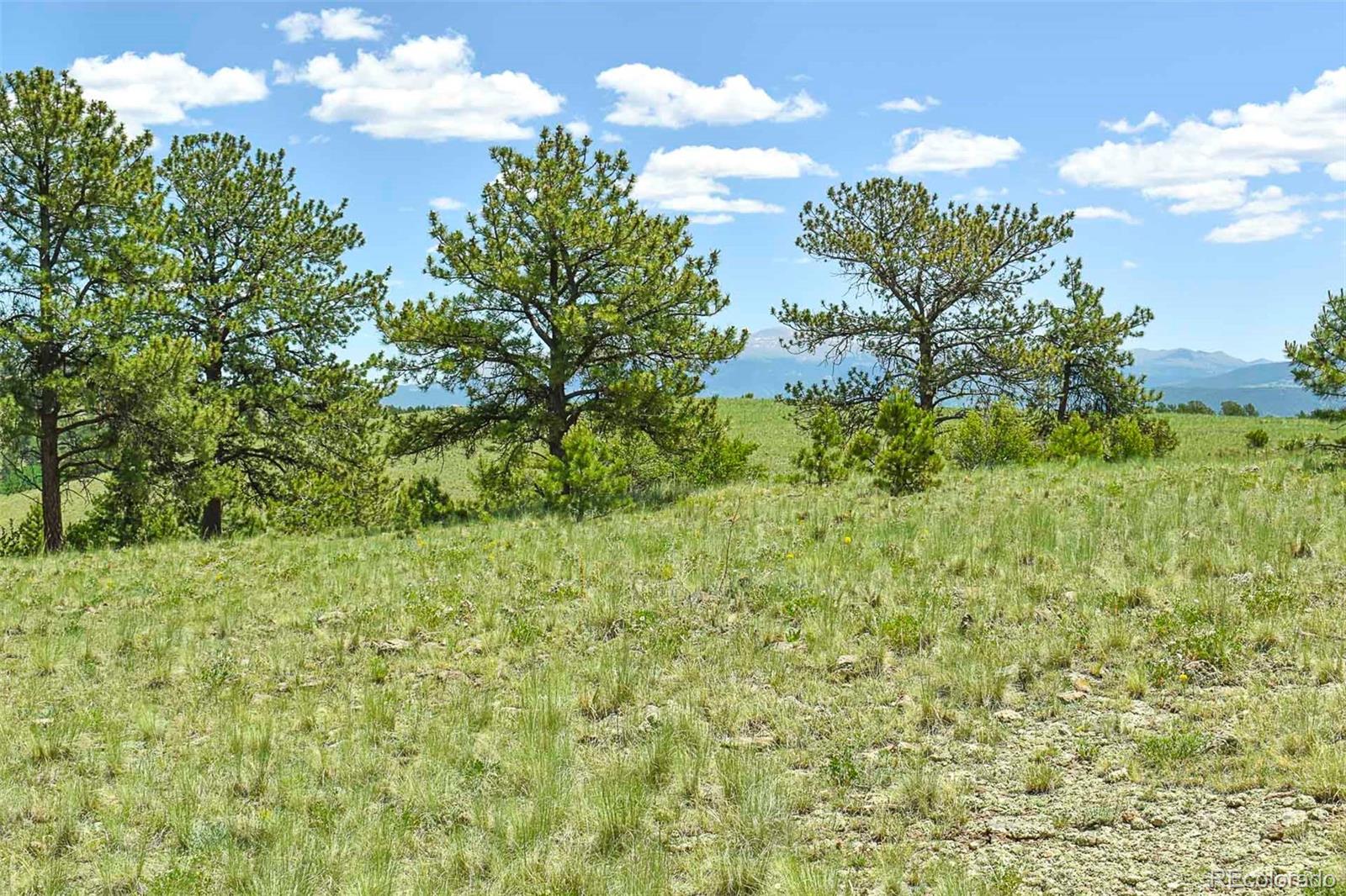 56 View Lane Guffey CO 80820