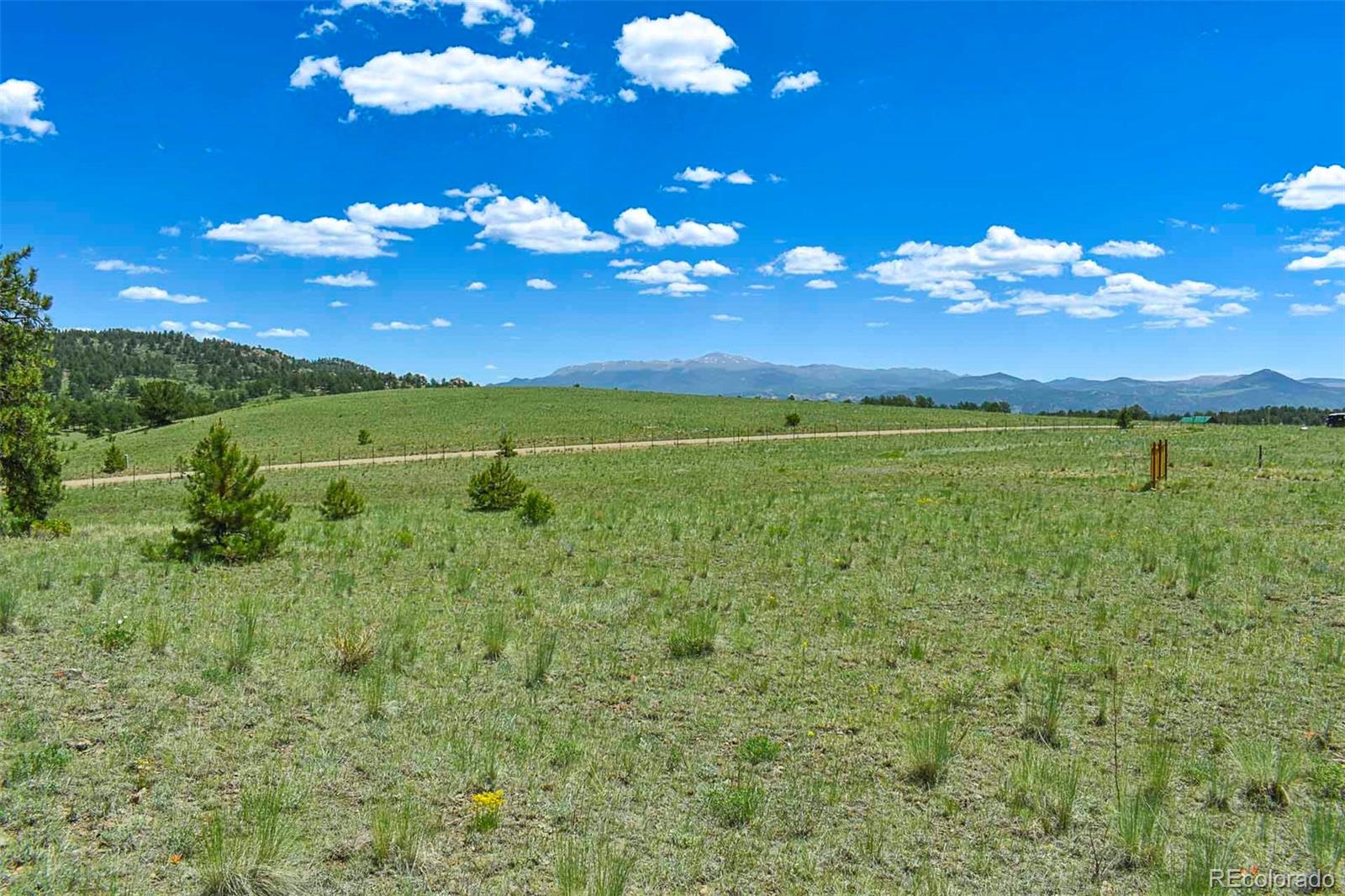 56 View Lane Guffey CO 80820
