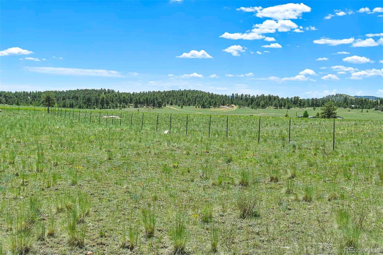 56 View Lane Guffey CO 80820