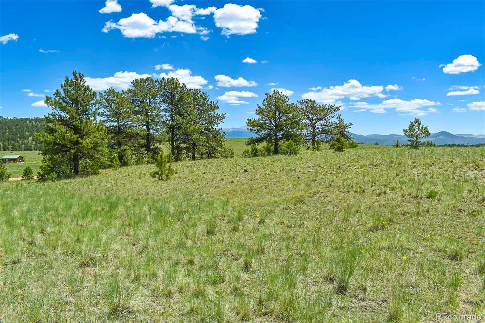 56 View Lane Guffey CO 80820