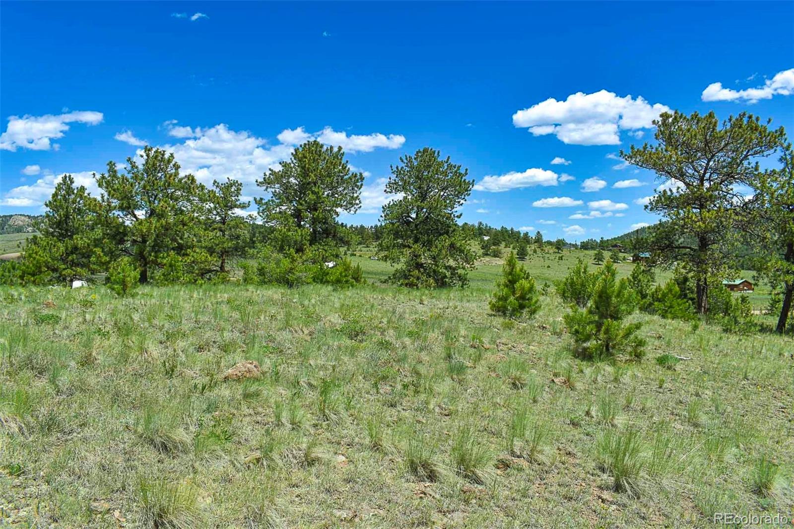 56 View Lane Guffey CO 80820