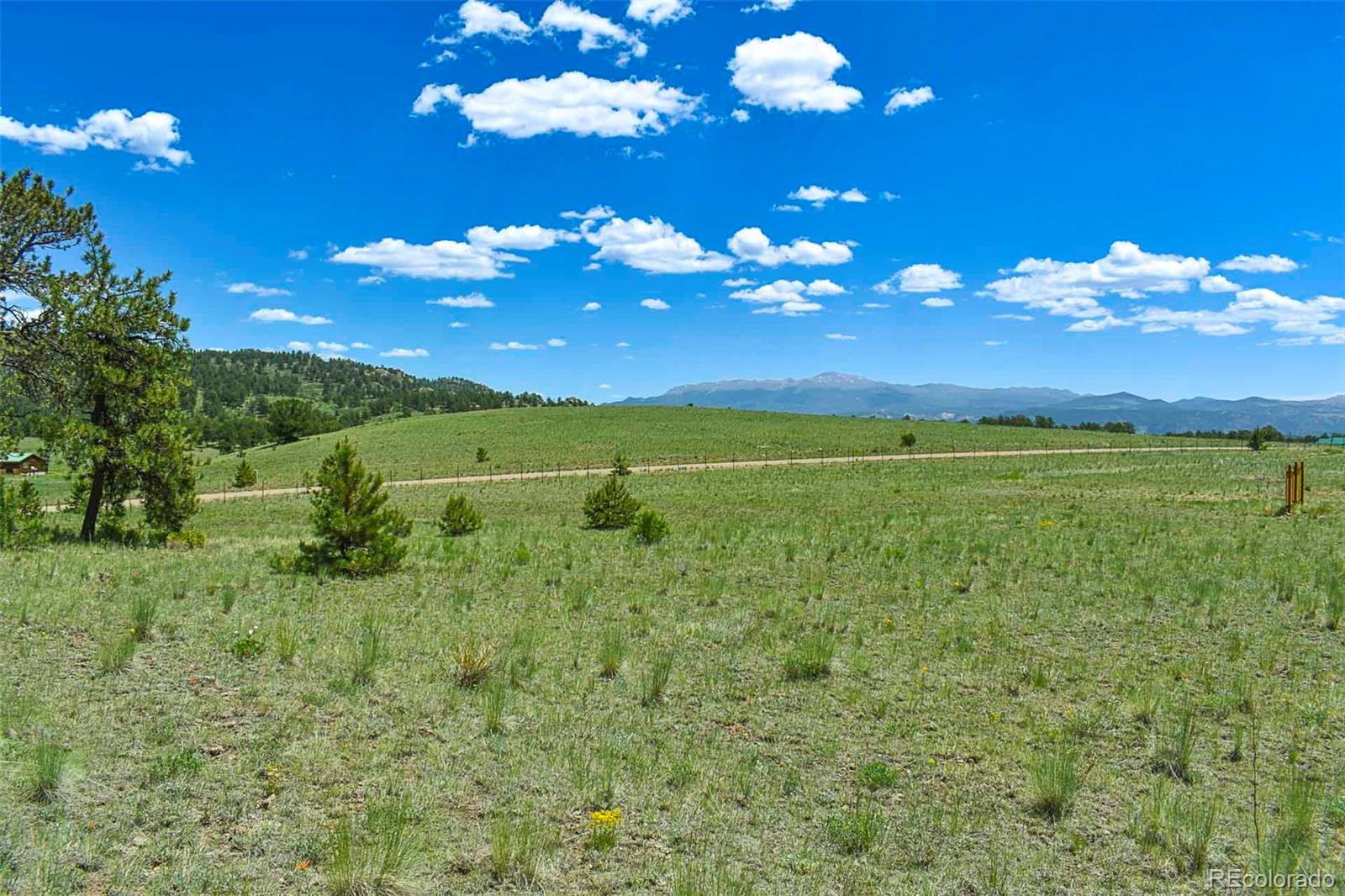 56 View Lane Guffey CO 80820