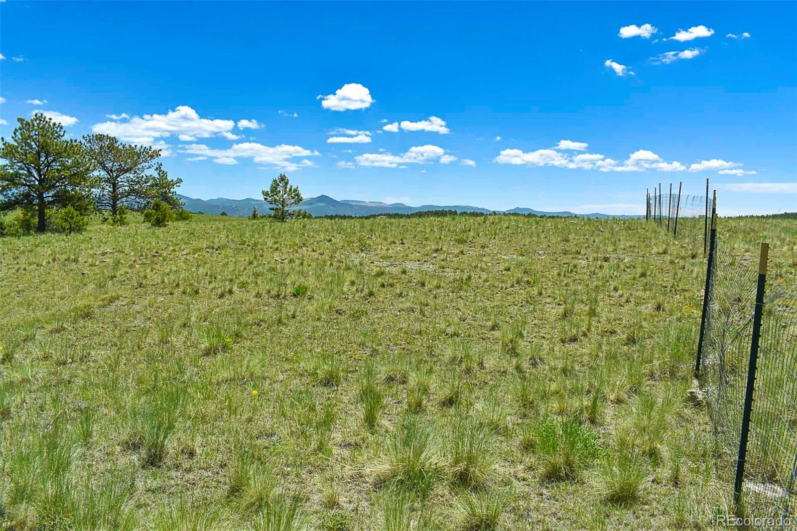 56 View Lane Guffey CO 80820