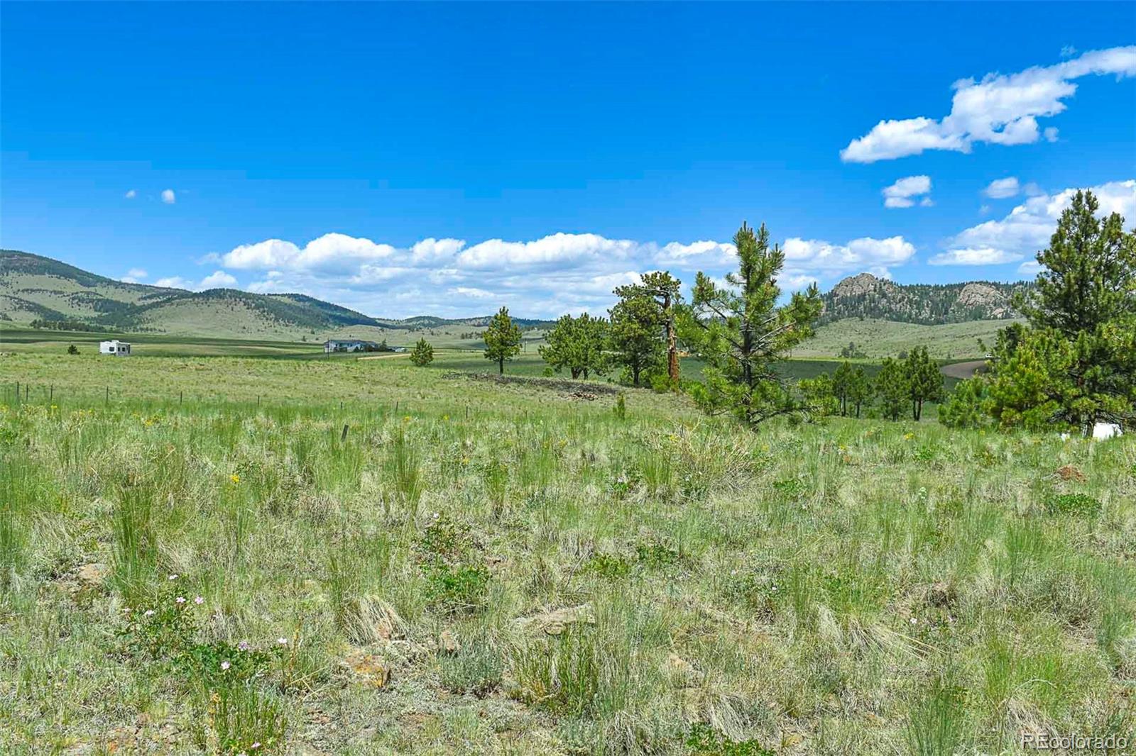56 View Lane Guffey CO 80820