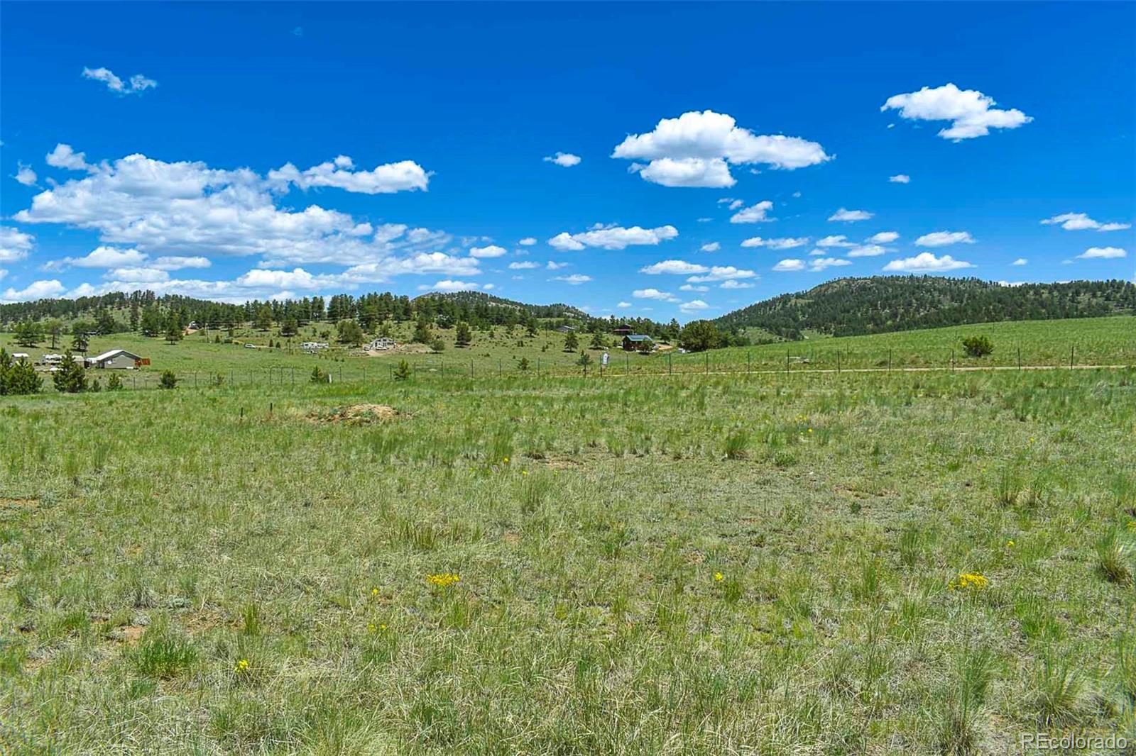 56 View Lane Guffey CO 80820