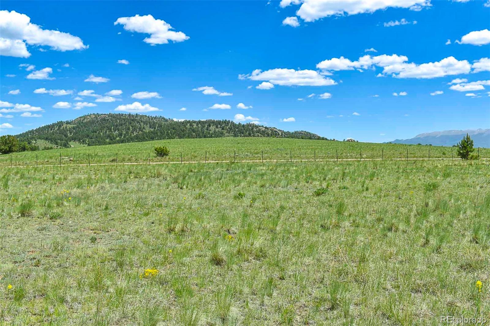 56 View Lane Guffey CO 80820
