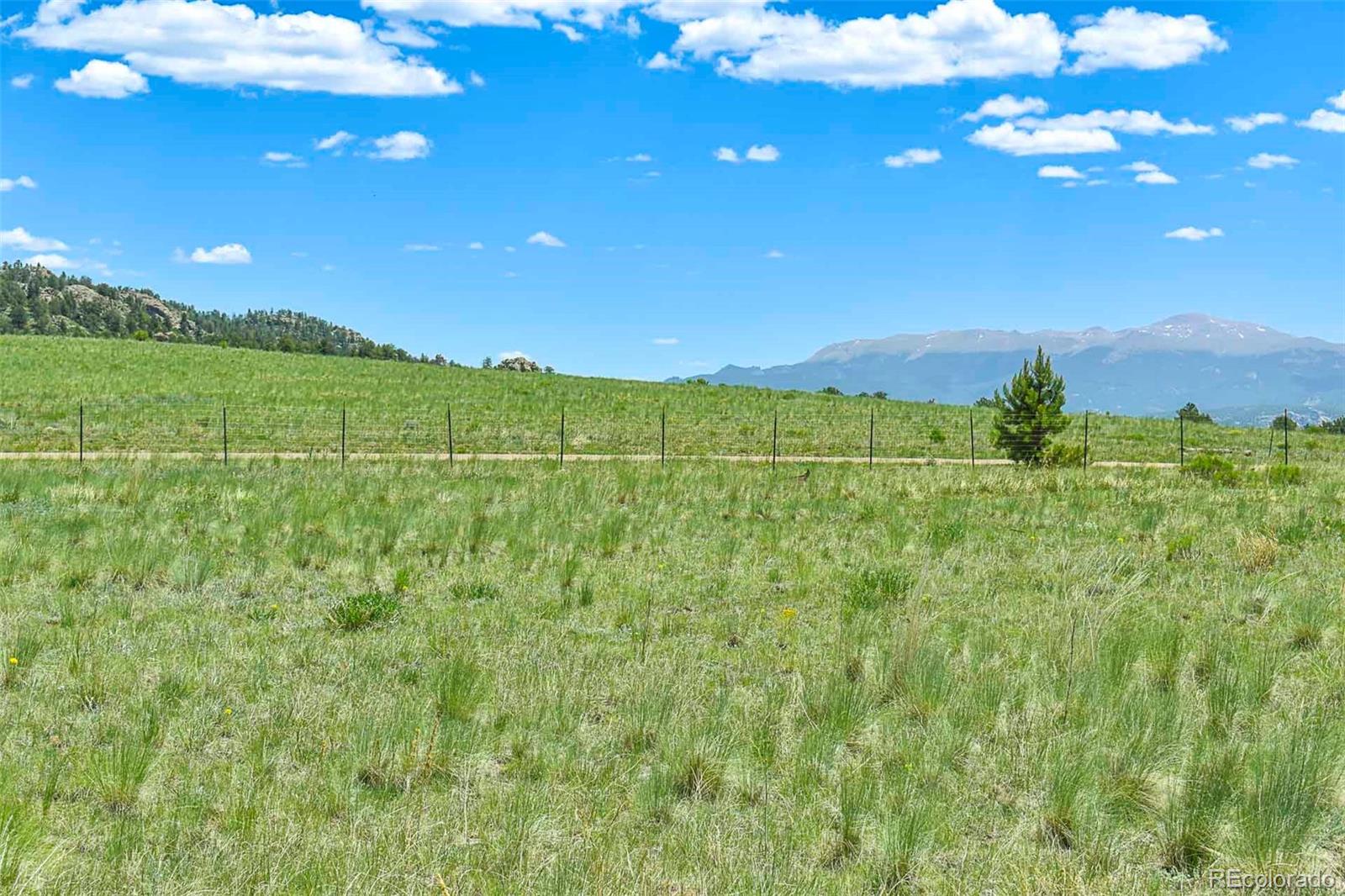 56 View Lane Guffey CO 80820