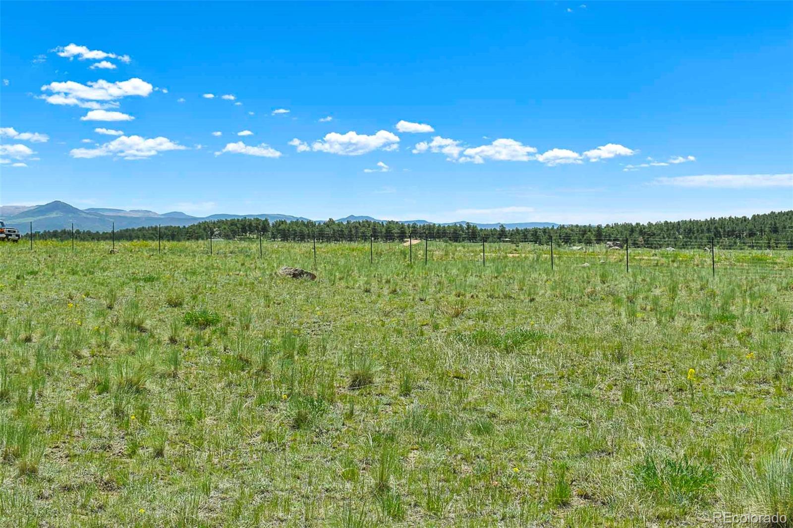 56 View Lane Guffey CO 80820
