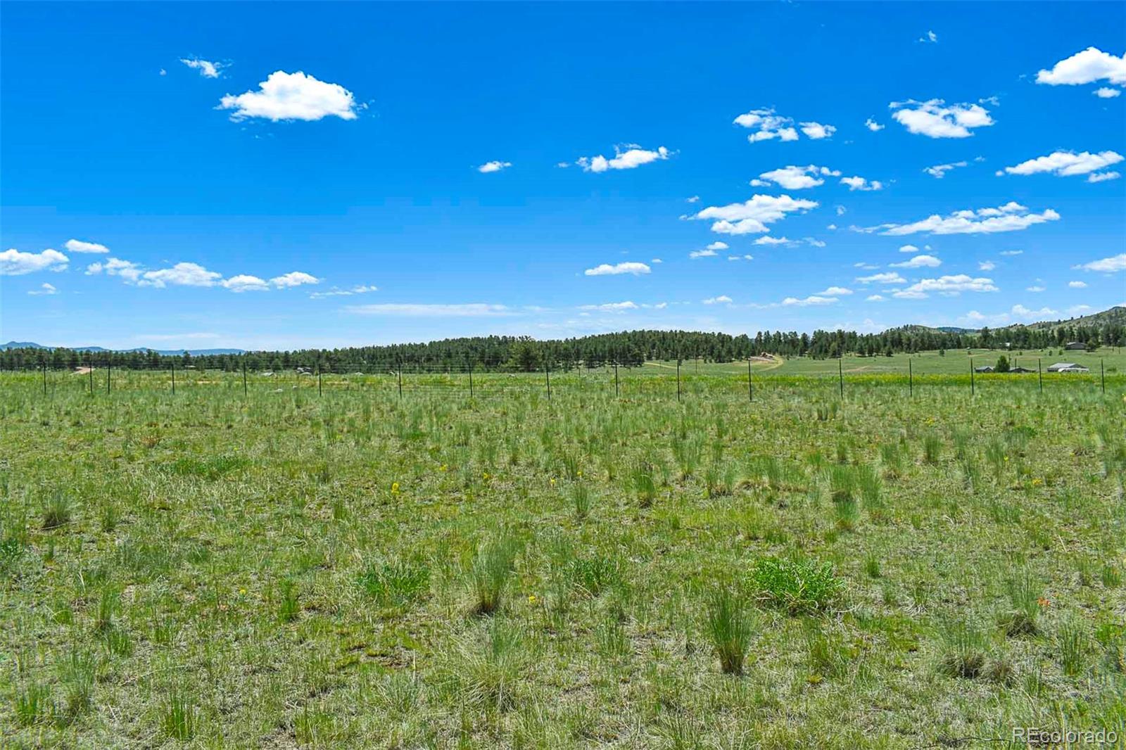 56 View Lane Guffey CO 80820
