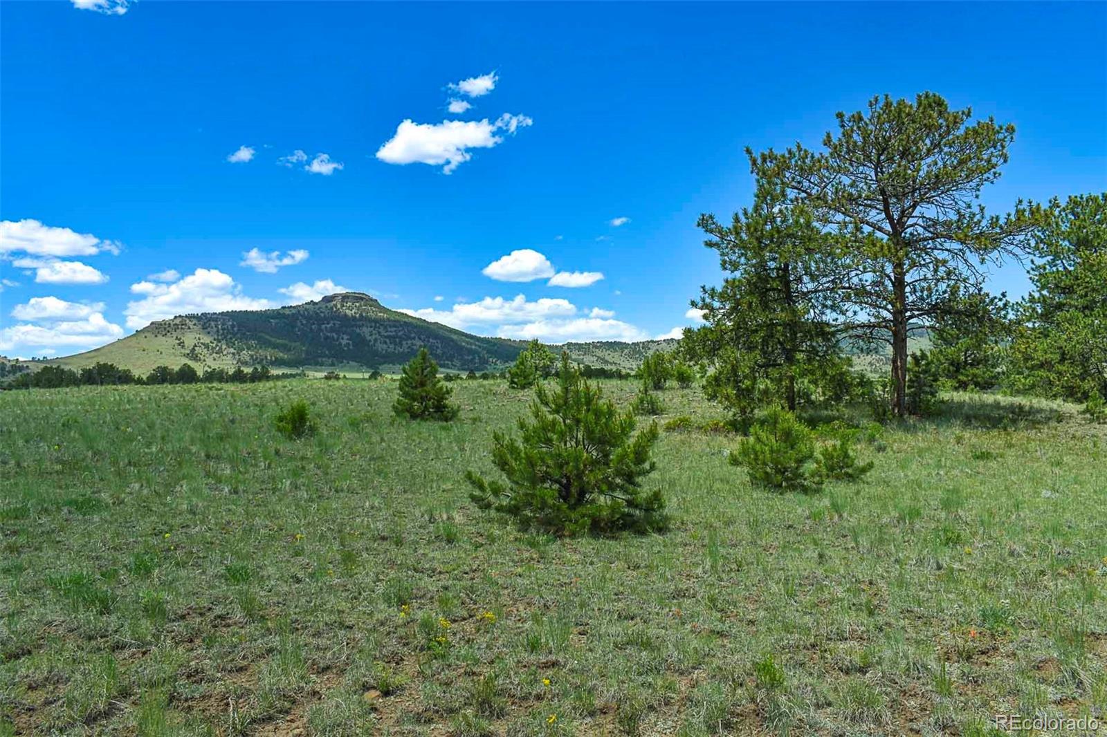 56 View Lane Guffey CO 80820