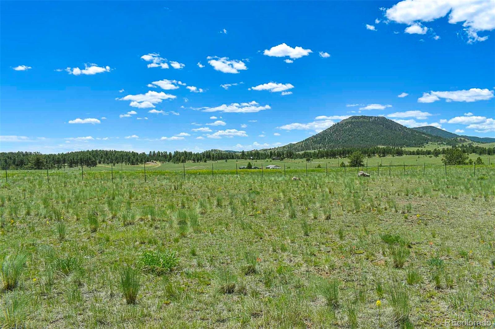 56 View Lane Guffey CO 80820