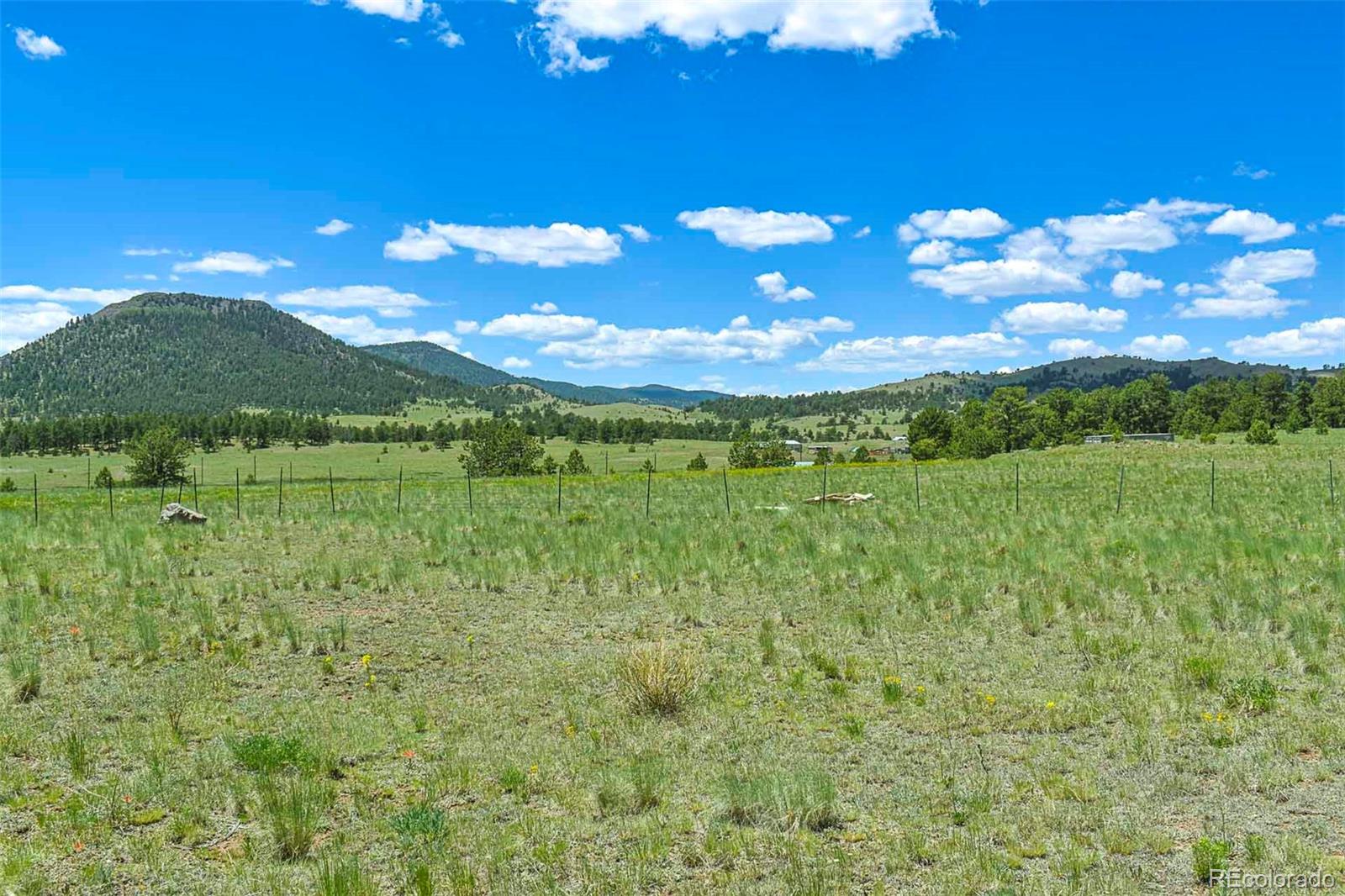 56 View Lane Guffey CO 80820