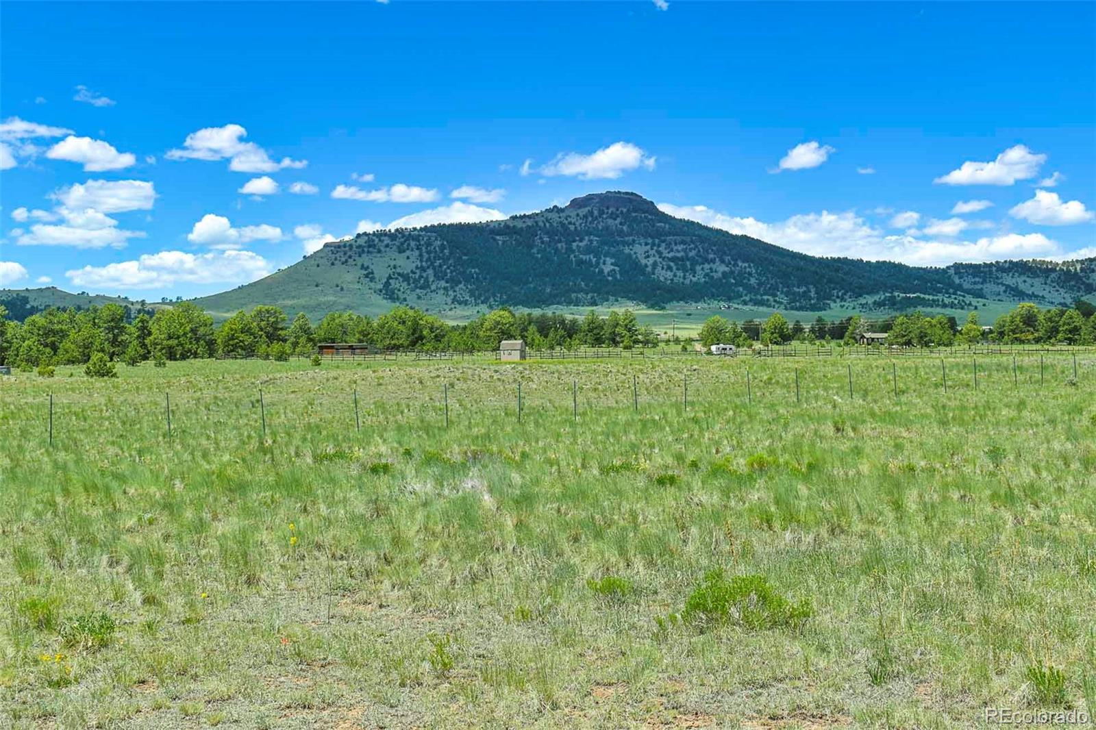 56 View Lane Guffey CO 80820