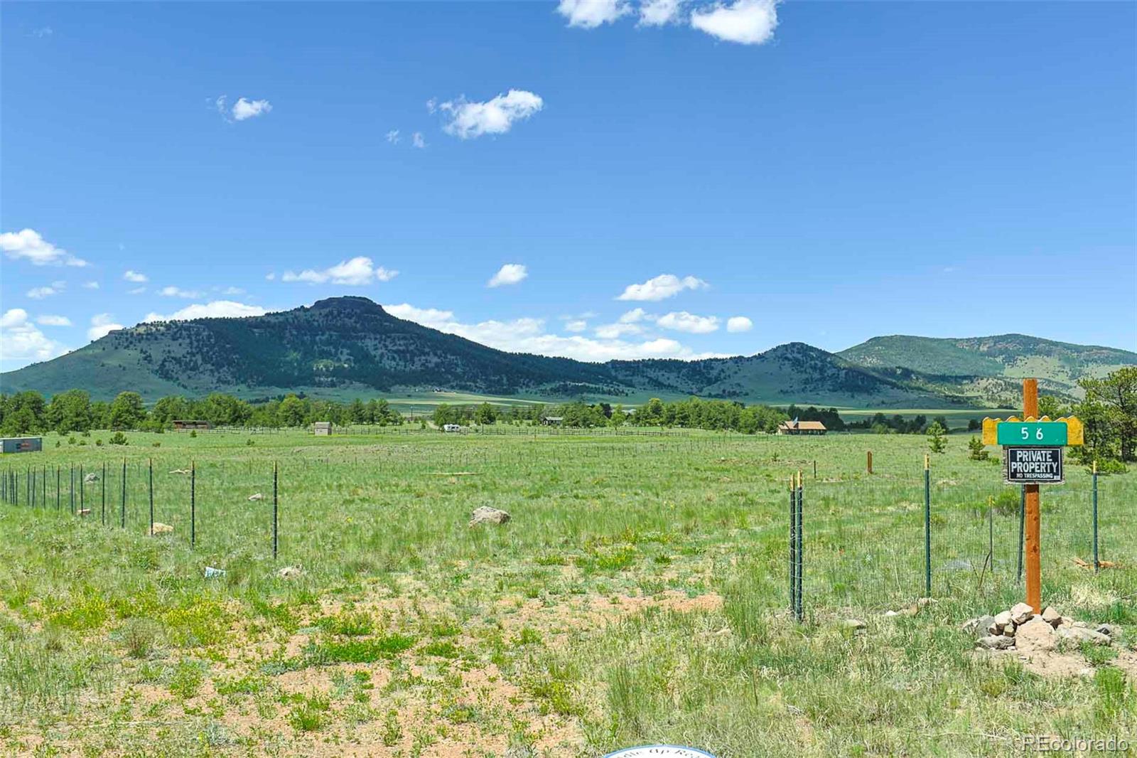 56 View Lane Guffey CO 80820