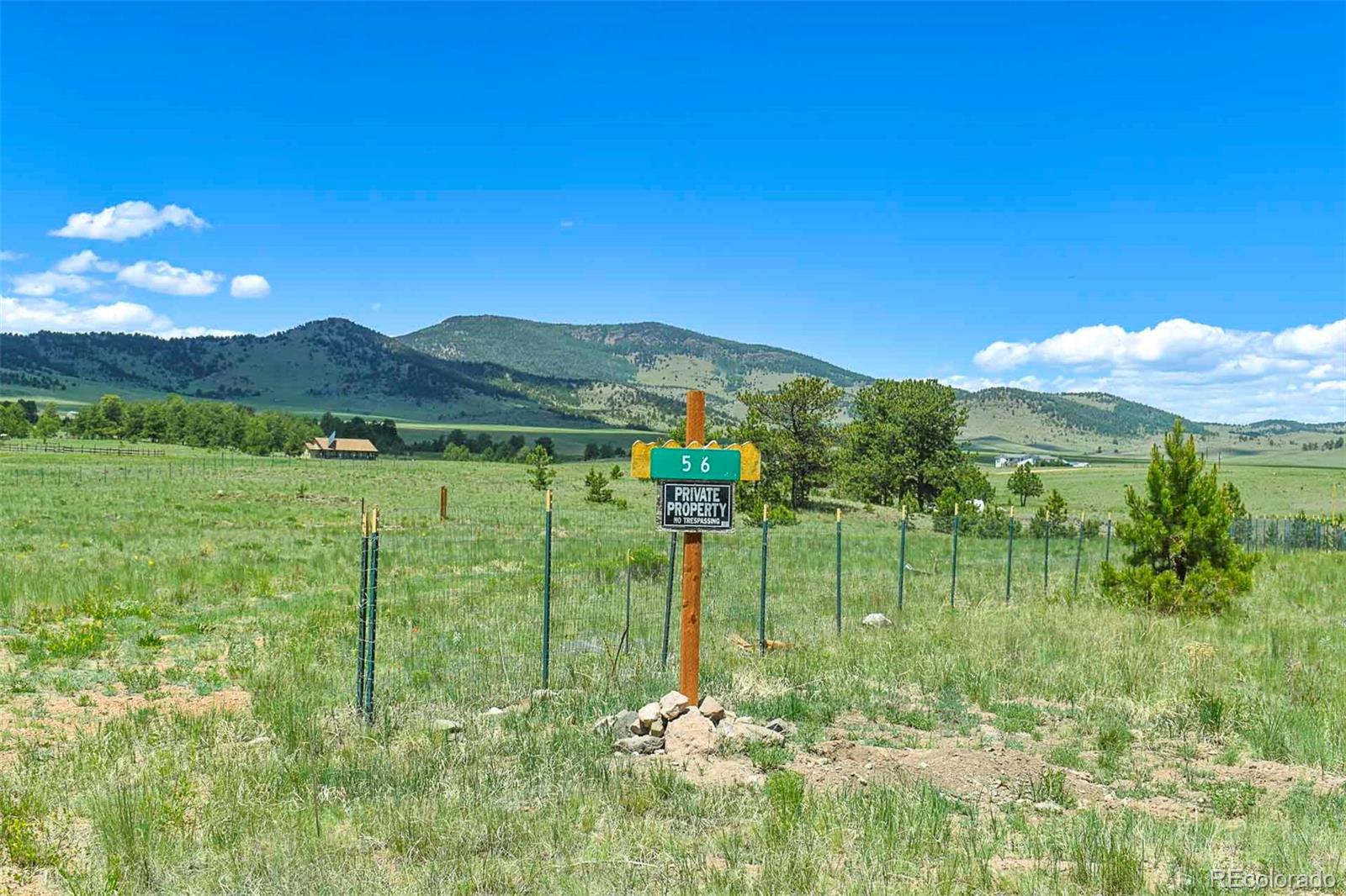 56 View Lane Guffey CO 80820