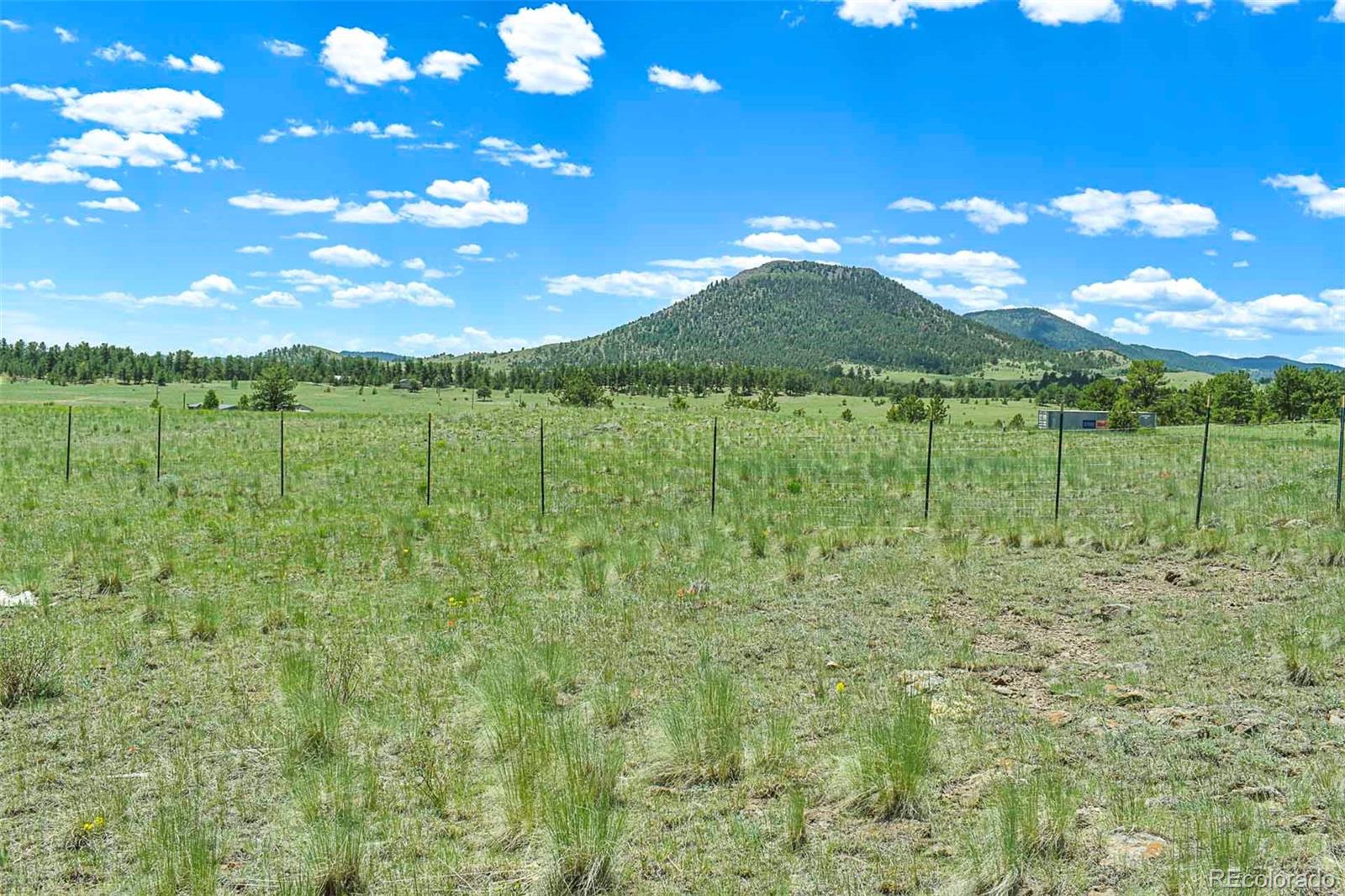 56 View Lane Guffey CO 80820