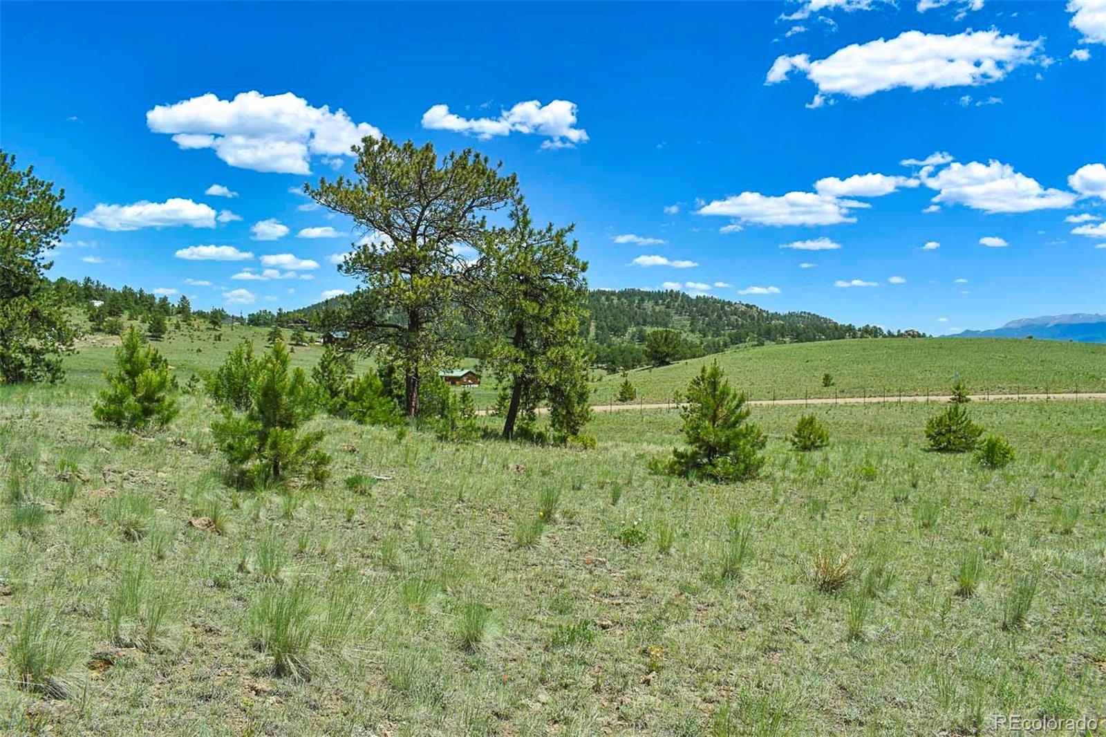 56 View Lane Guffey CO 80820