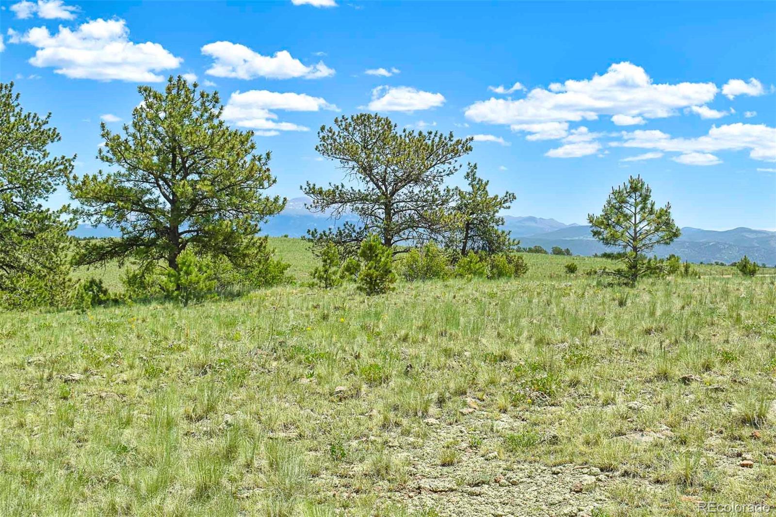 56 View Lane Guffey CO 80820