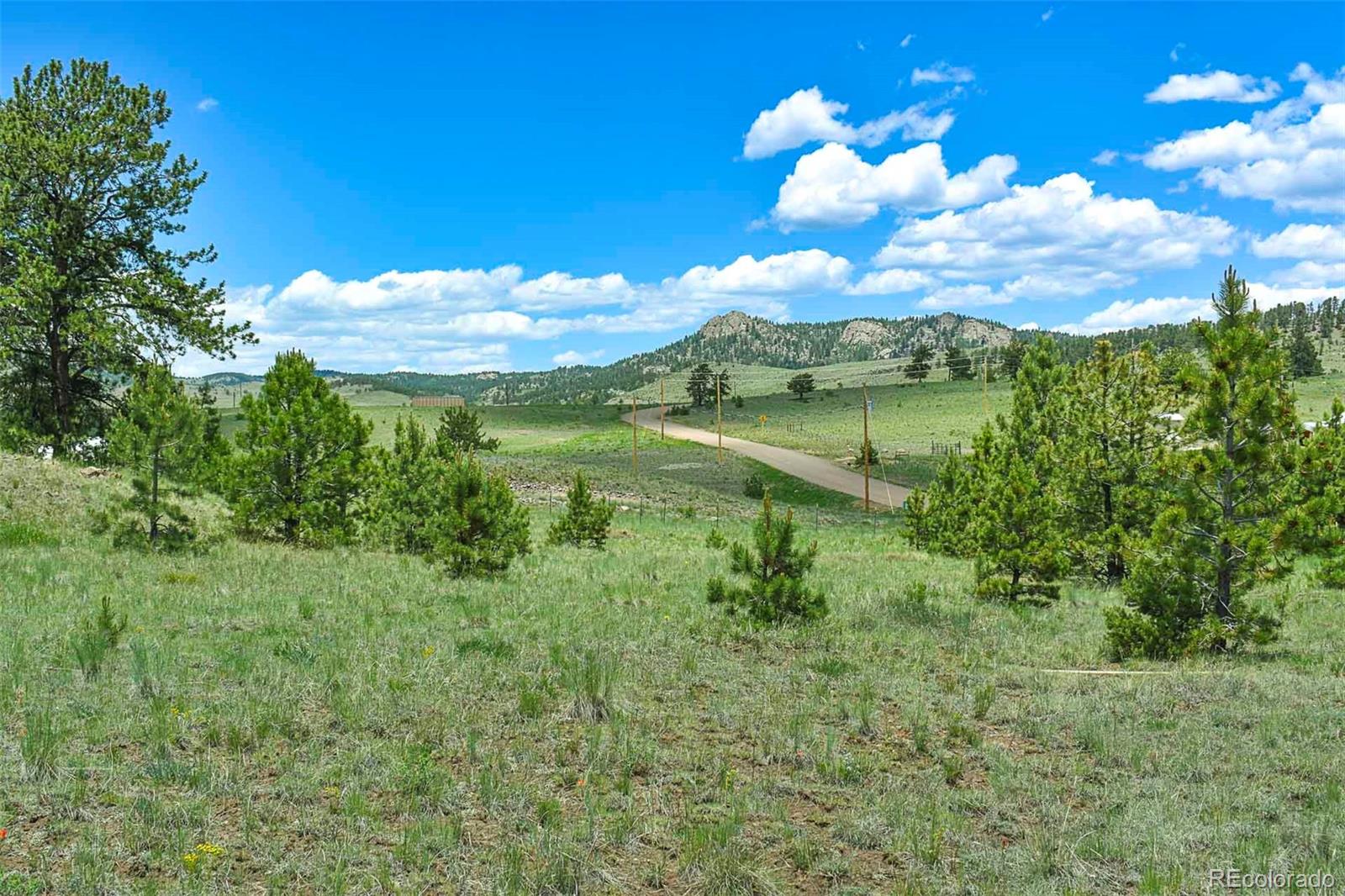 56 View Lane Guffey CO 80820