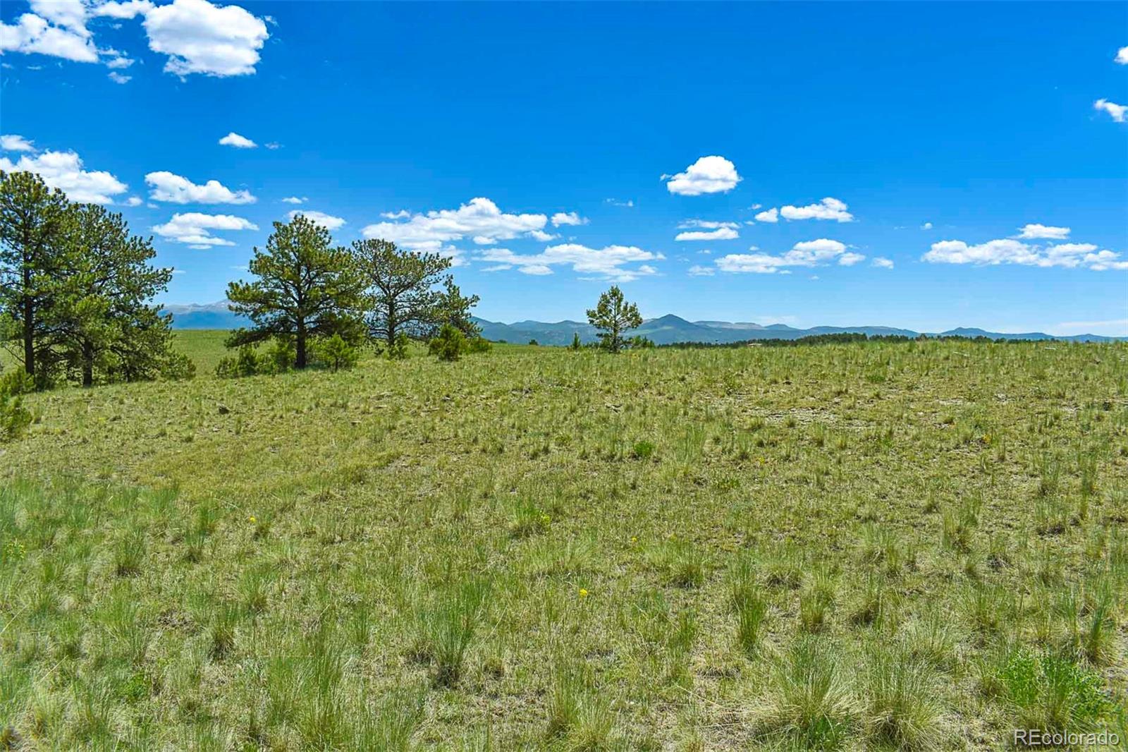 56 View Lane Guffey CO 80820
