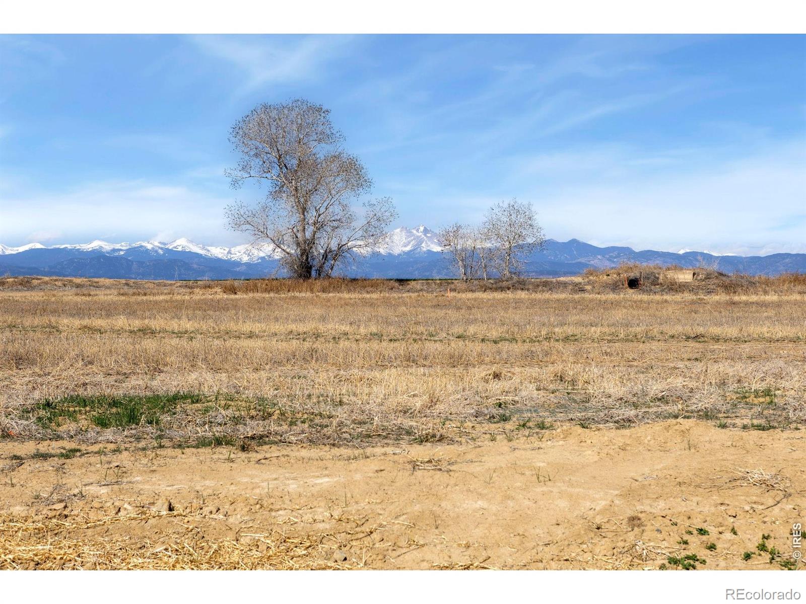 15135 Mattana Drive Mead CO 80542
