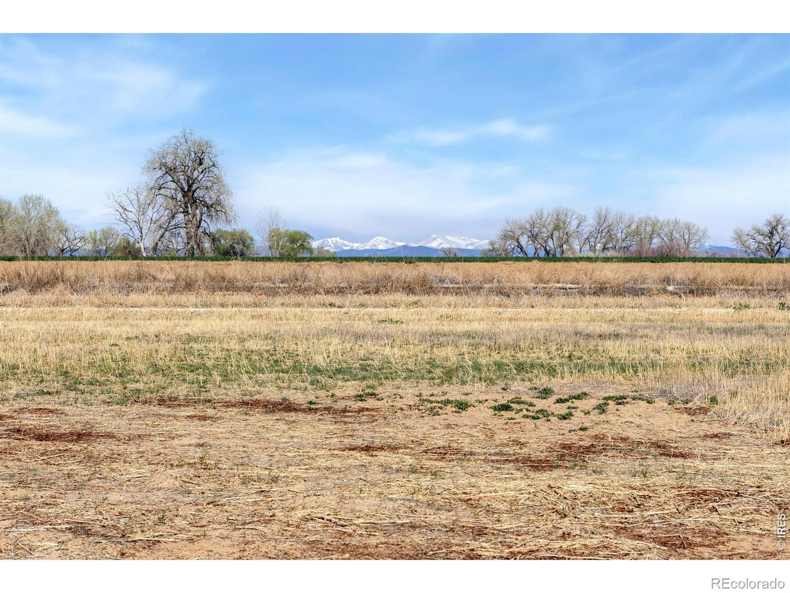 15135 Mattana Drive Mead CO 80542