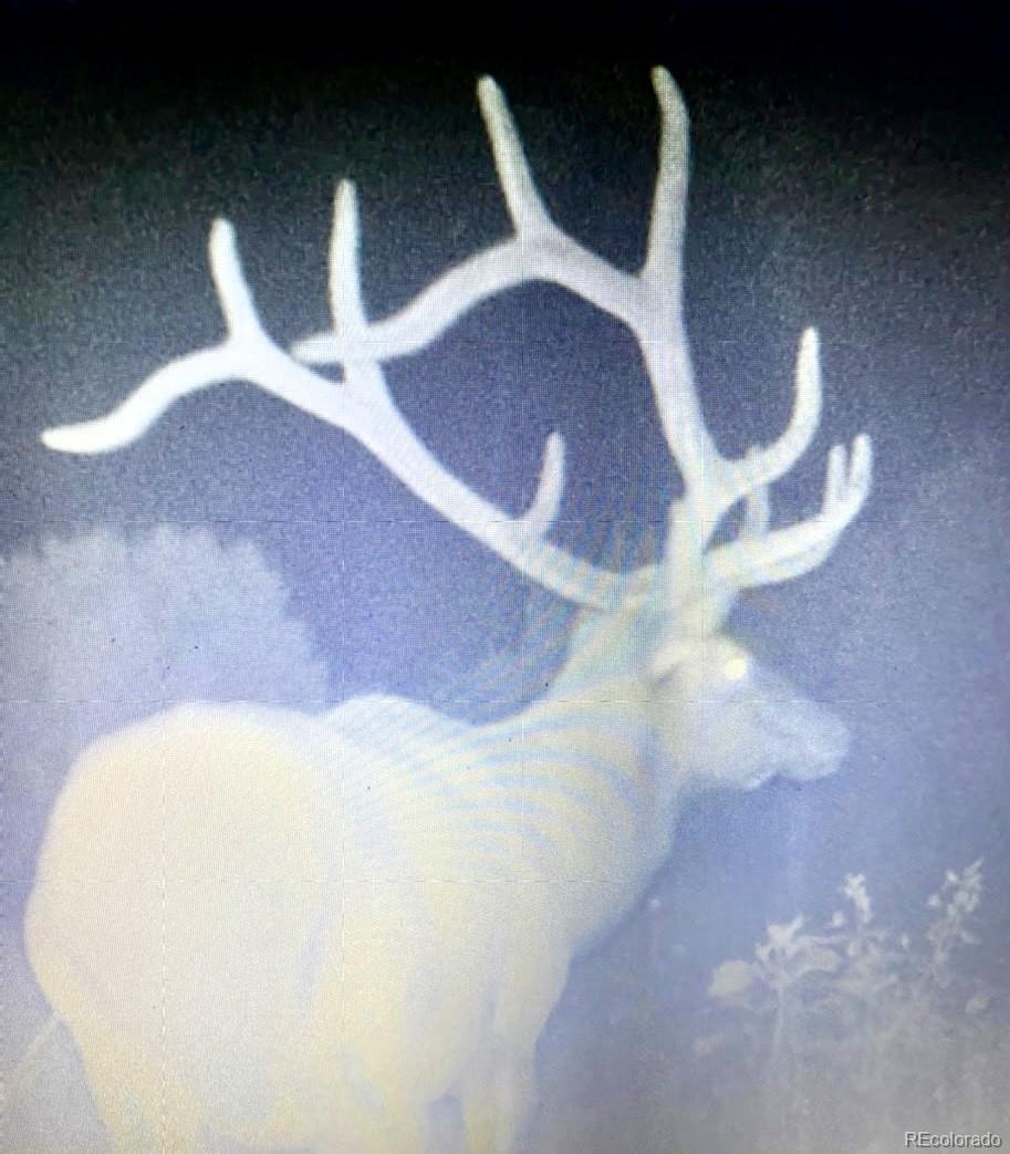 0 County Road 103 Florence CO 81226