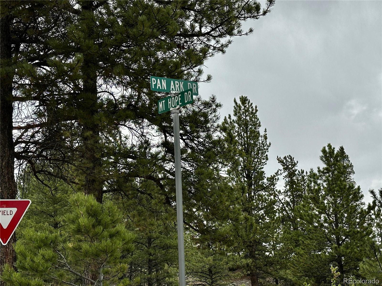 9 Mount Hope Drive Twin Lakes CO 81251