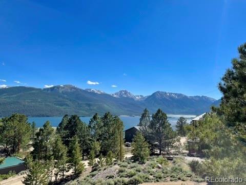 9 Mount Hope Drive Twin Lakes CO 81251