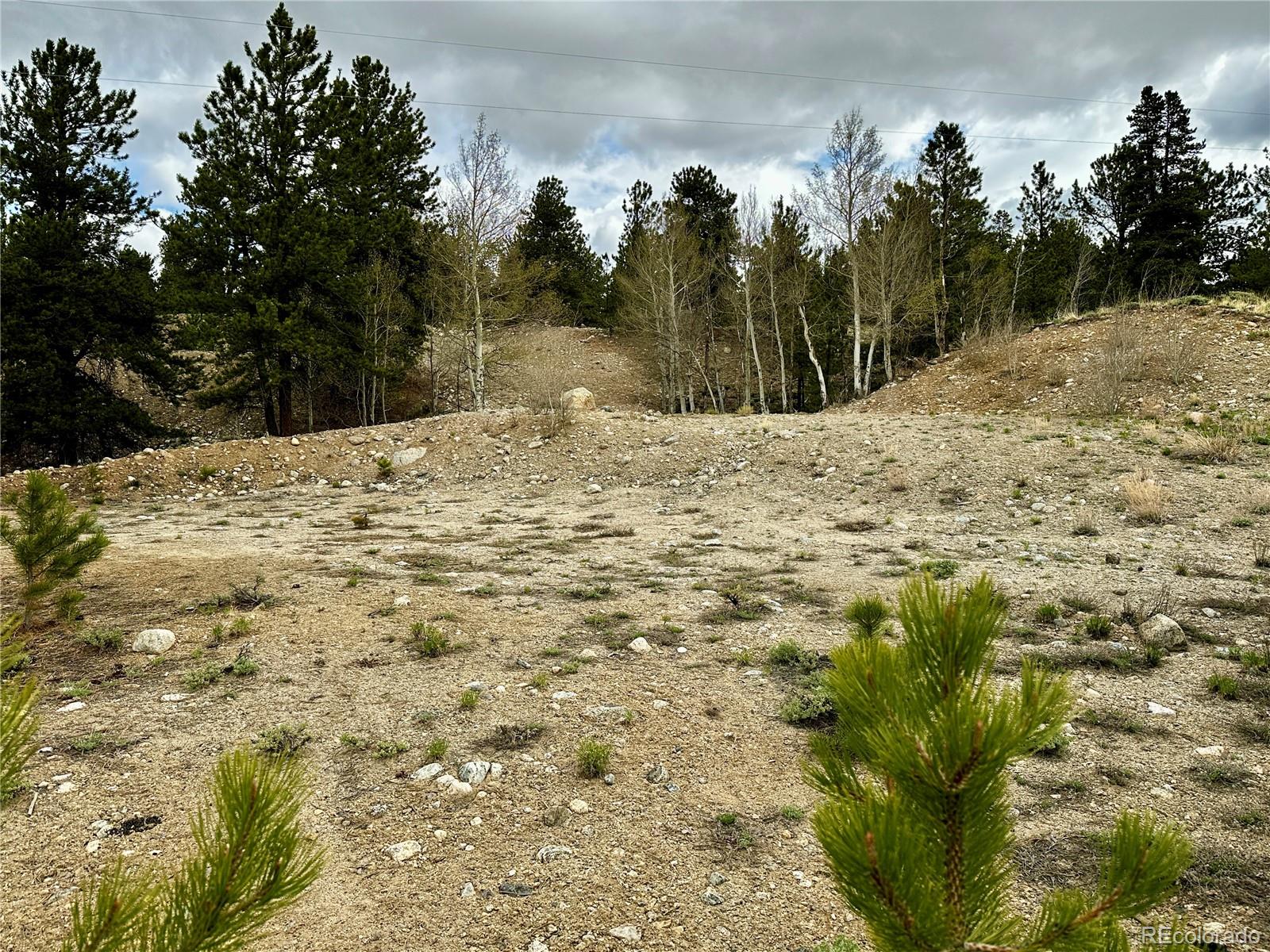 9 Mount Hope Drive Twin Lakes CO 81251