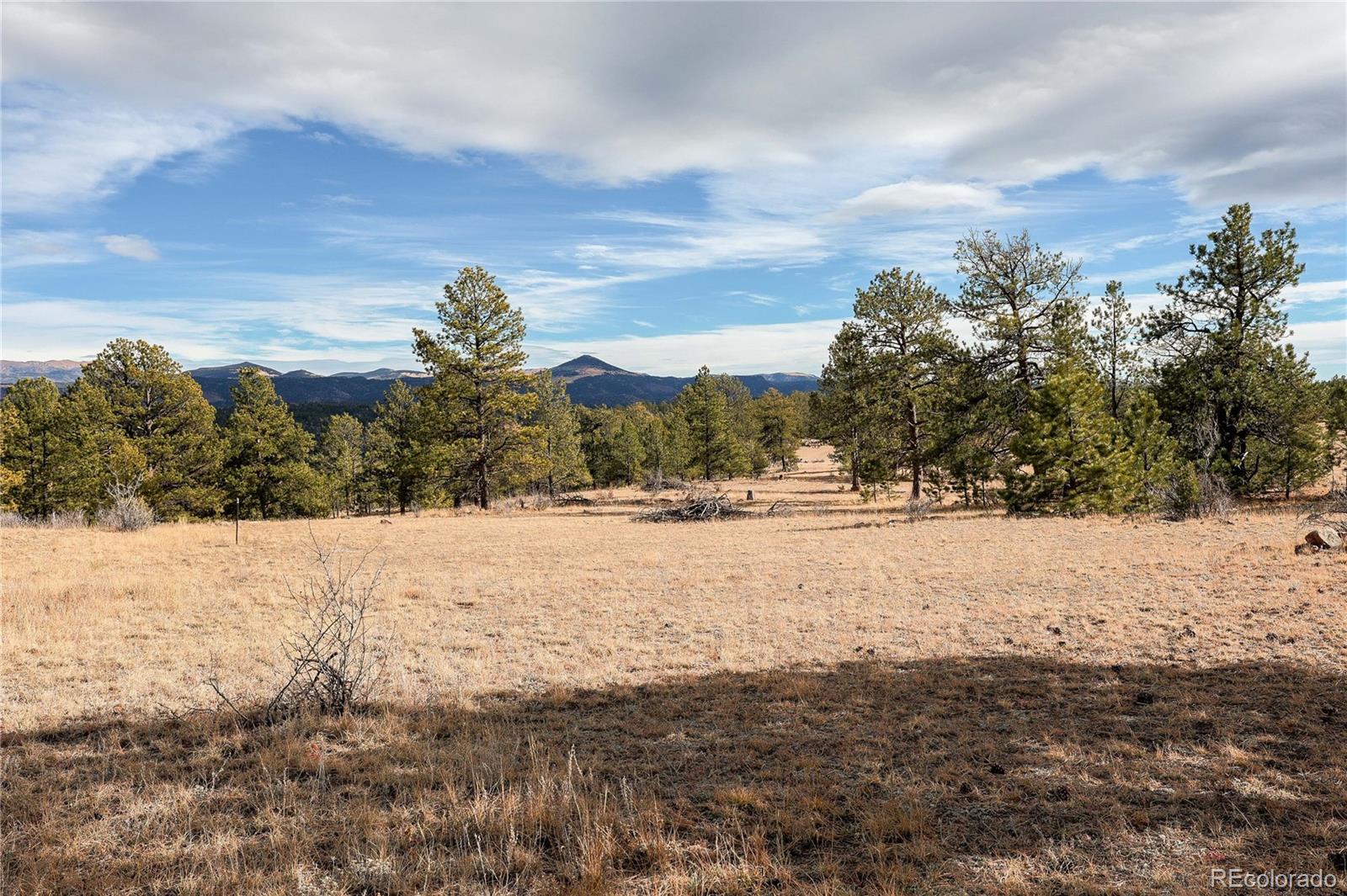 000 Twinkle Road Guffey CO 80820