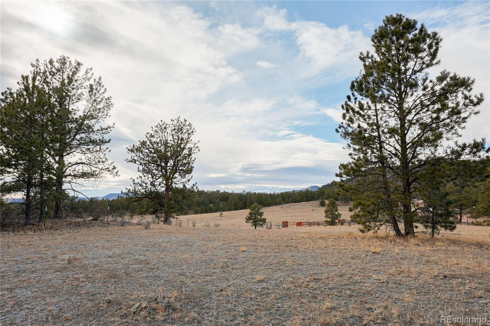 000 Twinkle Road Guffey CO 80820