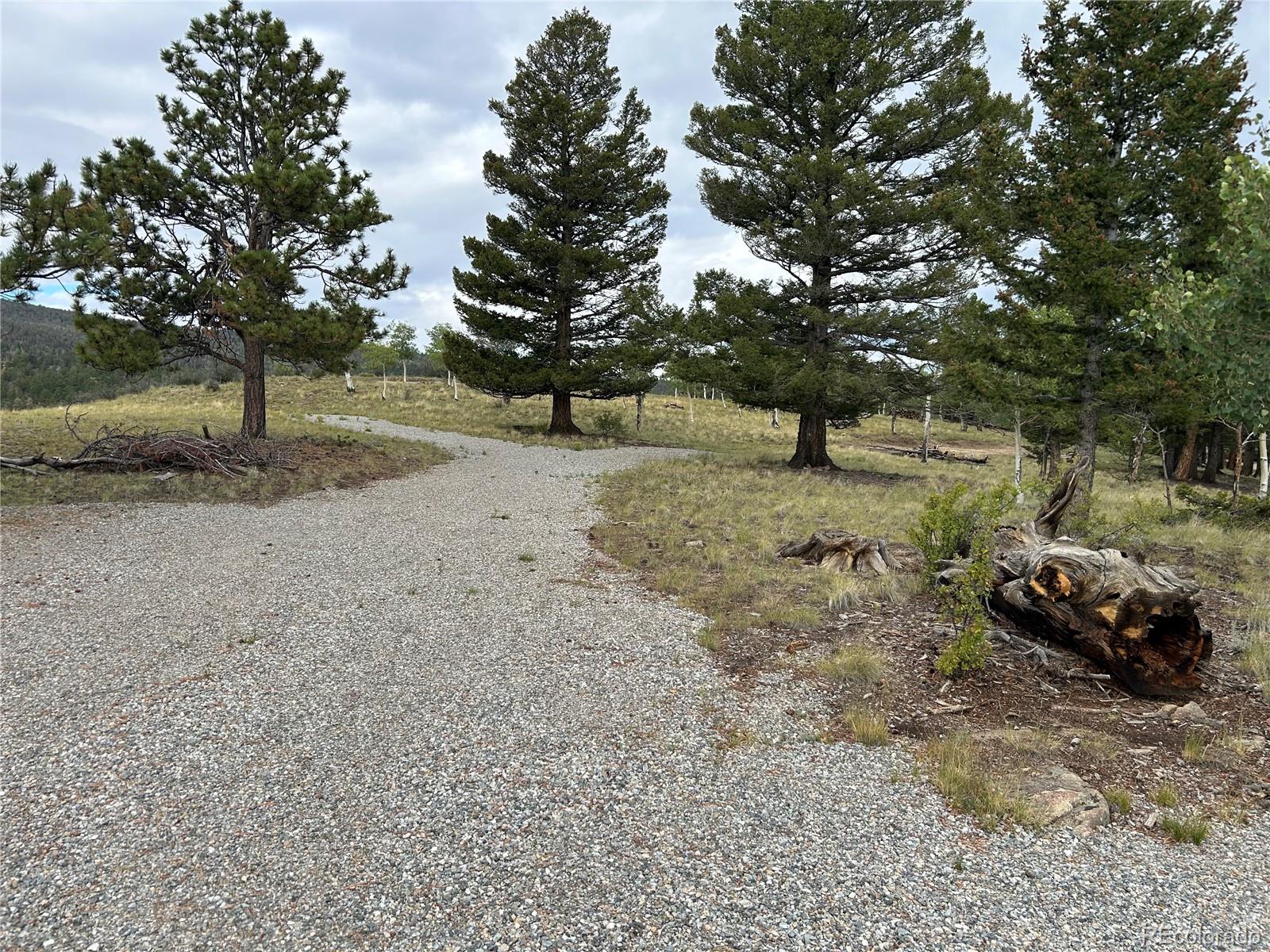 3826 Singletree Road Hartsel CO 80449