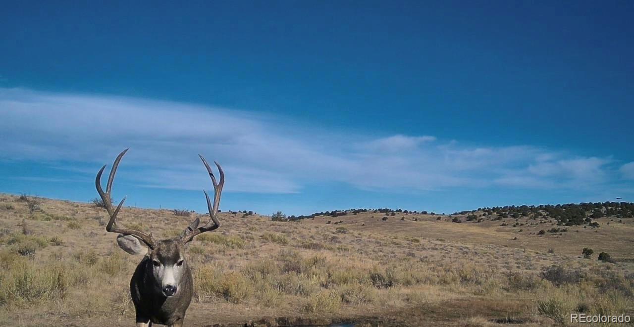 Airport Road Westcliffe CO 81252