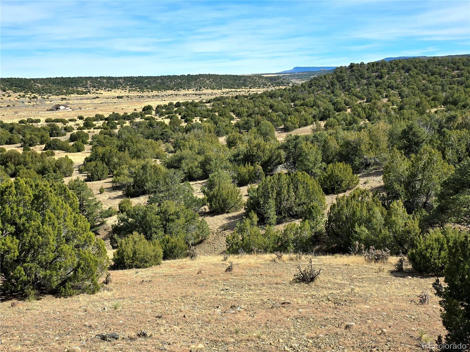 Lot 21 Of 13565 Bat Masterson Drive Trinidad CO 81082