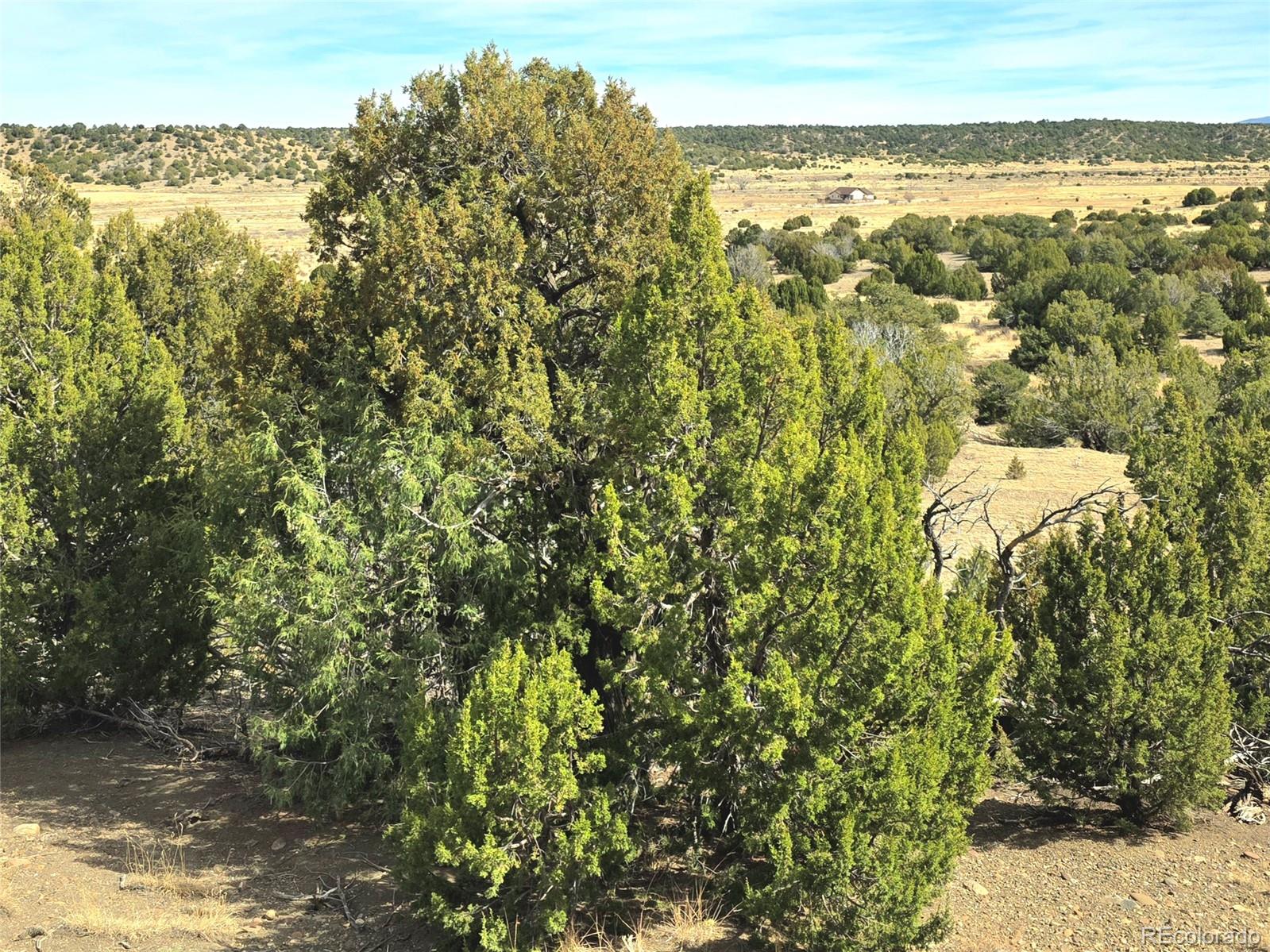 Lot 21 Of 13565 Bat Masterson Drive Trinidad CO 81082