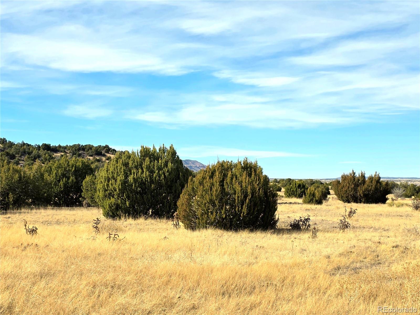 Lot 21 Of 13565 Bat Masterson Drive Trinidad CO 81082