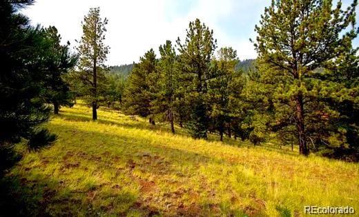 111 Isabel Claim Cripple Creek CO 80813