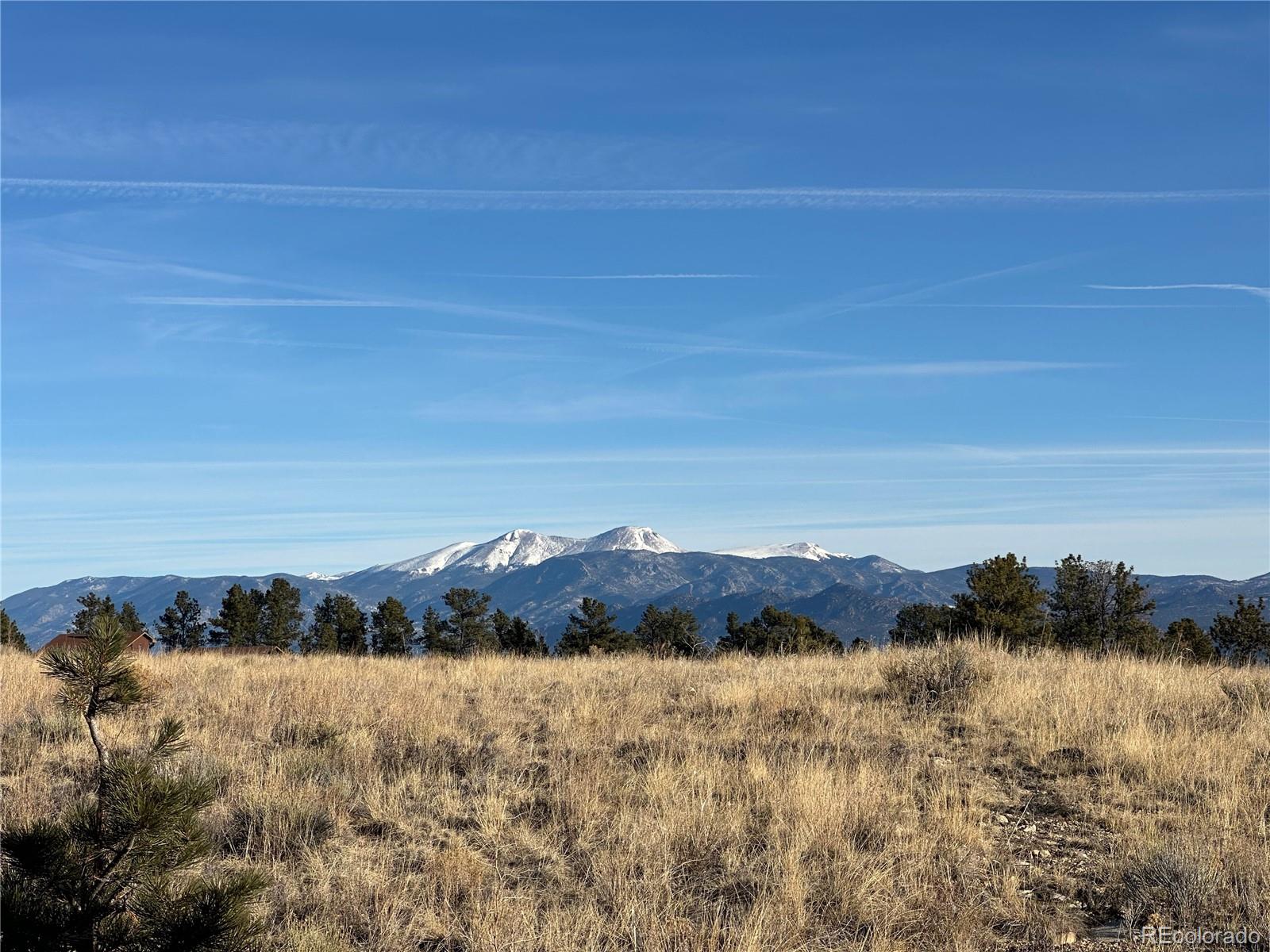 13001 County Road 261p Nathrop CO 81236