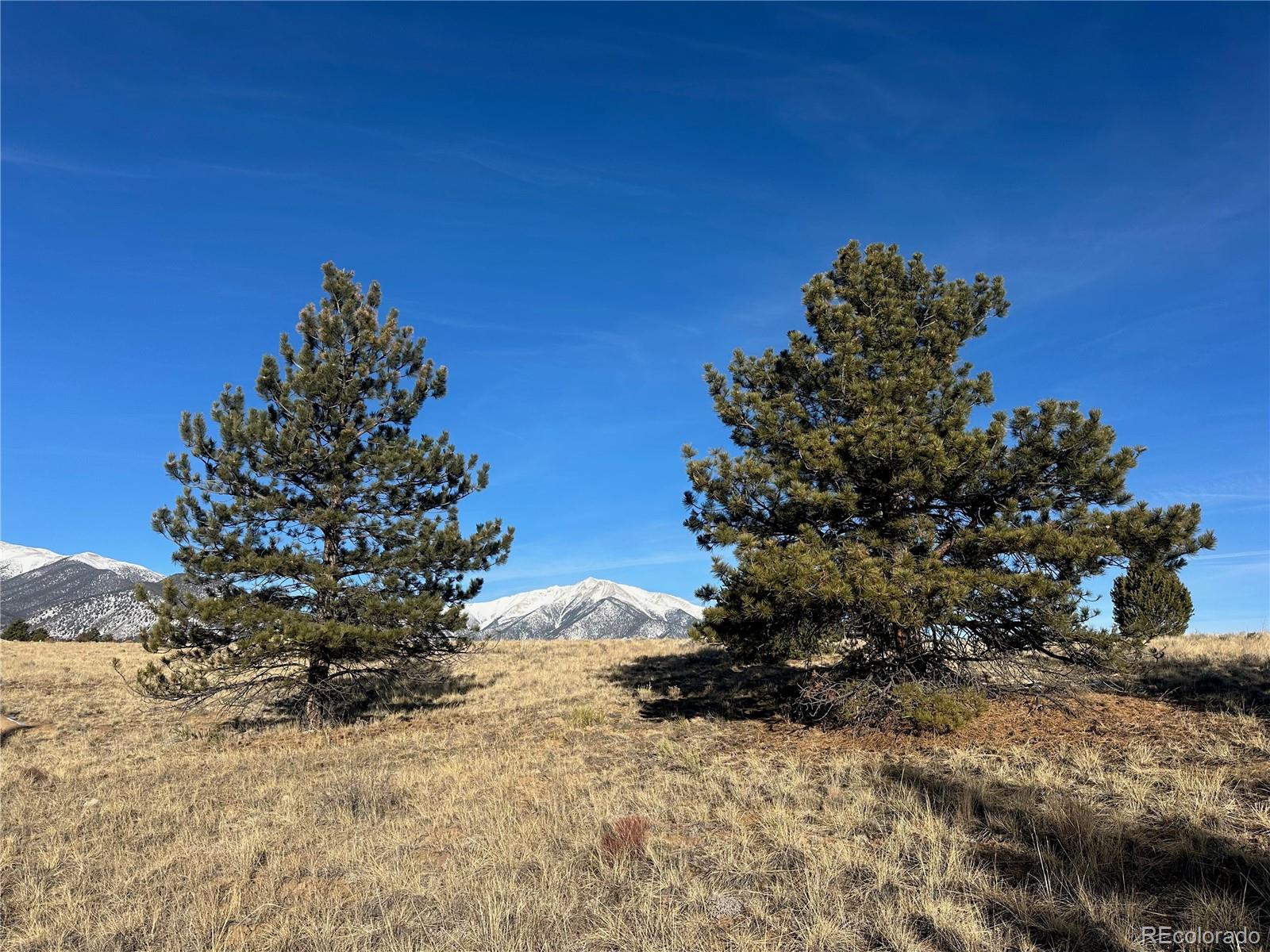 13001 County Road 261p Nathrop CO 81236