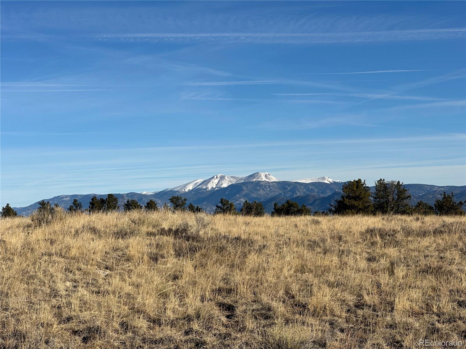 13001 County Road 261p Nathrop CO 81236